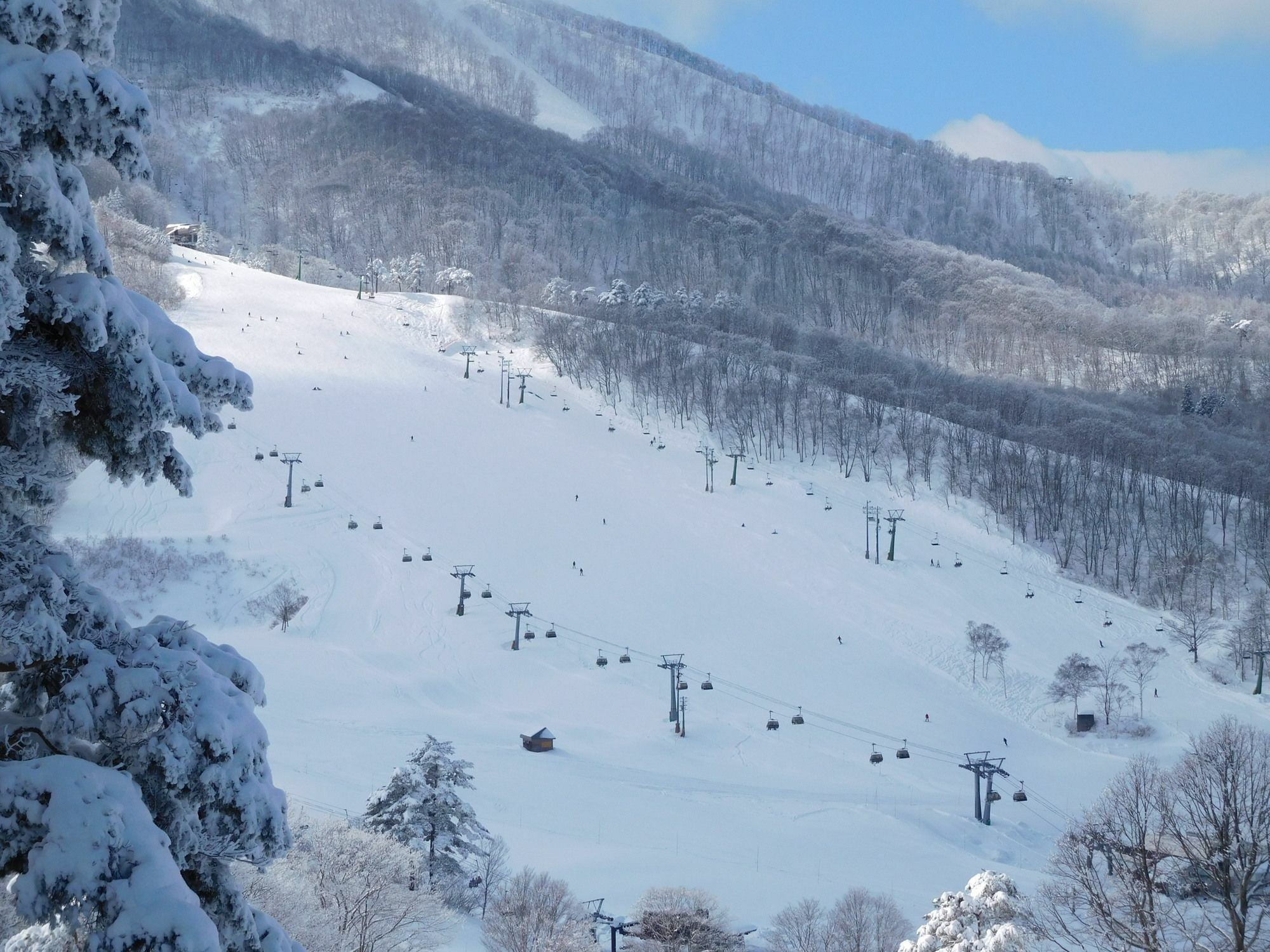 Madarao Elm Pension Iiyama Exterior foto