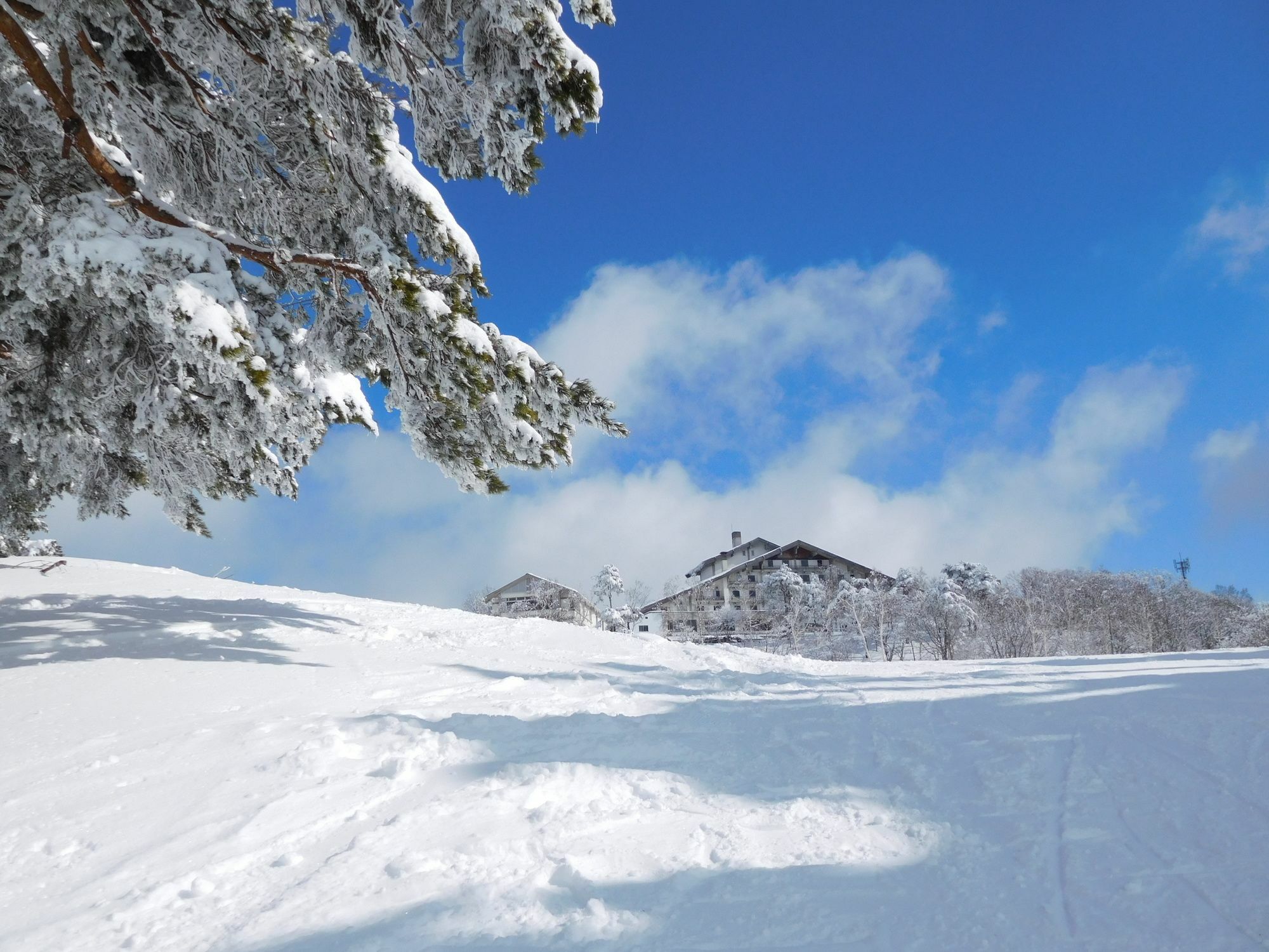Madarao Elm Pension Iiyama Exterior foto